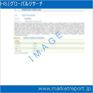 市場と産業調査レポートのイメージ